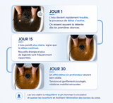 Bain Ionique Détox